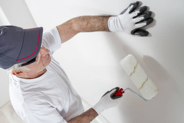 Best Post-Construction Mold Inspection  in Walls, MS