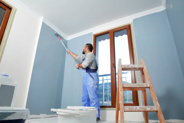 Trusted Walls, MS Mold Removal Experts