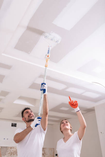 Best Basement Mold Removal  in Walls, MS