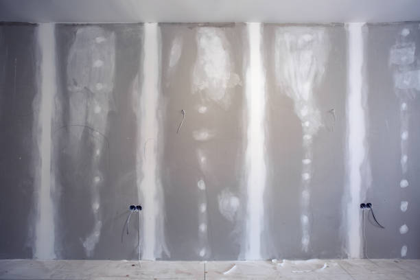 Best HVAC Mold Inspection and Cleaning  in Walls, MS
